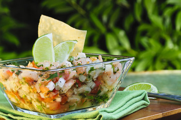 Mexican Style Ceviche - 115479158