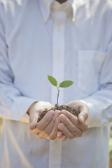 新芽を持つ手