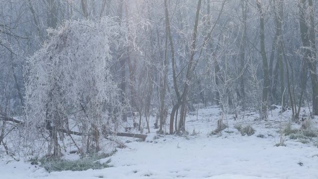 Snow covering hills near town of Zajecar in Eastern Serbia 4K 2160p UHD footage - Kraljevica park hill on wintertime 4K 3840X2160 UHD video 