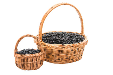 Fototapeta na wymiar Blueberries in a basket