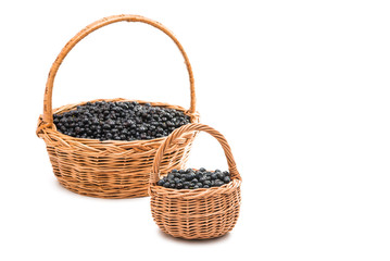 Naklejka na ściany i meble Blueberries in a basket