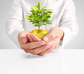  Holding of Golden Eggs