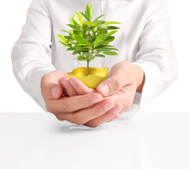  Holding of Golden Eggs