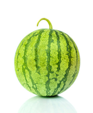 Water melon on white