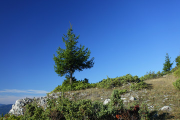 Obraz premium Village of Yagodina. Rhodope mountains, Bulgaria 