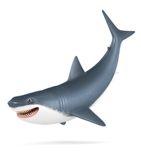 3d shark on a white background