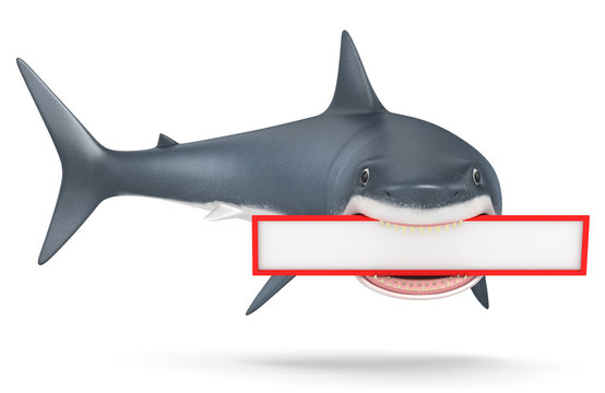 3d shark on a white background