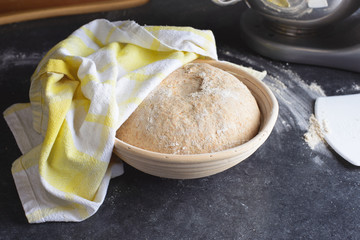 Artisan Bread Proving Ready for Baking