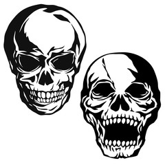 頭蓋骨のイラスト