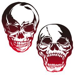 頭蓋骨のイラスト