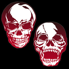 頭蓋骨のイラスト