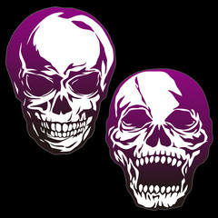 頭蓋骨のイラスト