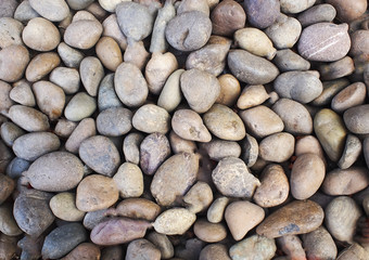 Stone background and texture the park
