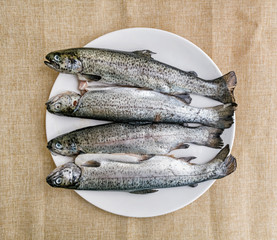 Four delicious grilled trouts, fish specialties