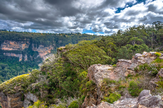 Fototapeta Blue mountains national park, Australia