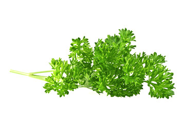 Green leaves of parsley isolated on white background