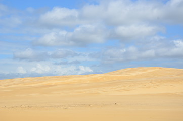 Fototapeta na wymiar Remote, deserted sand dune near Newcastle, New South Wales, Australia