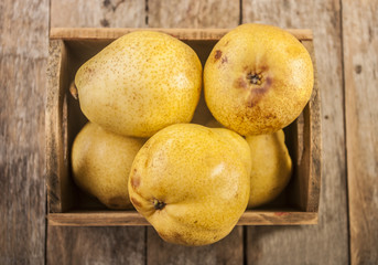 Fruit background. Fresh organic pears on old wood. Pear autumn harvest
