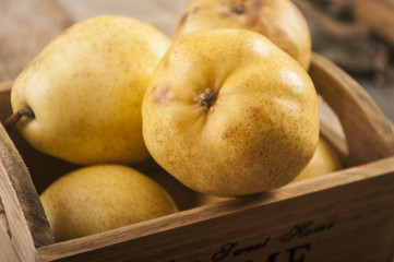 Fruit background. Fresh organic pears on old wood. Pear autumn harvest
