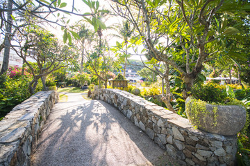 beautiful tropical garden landscape