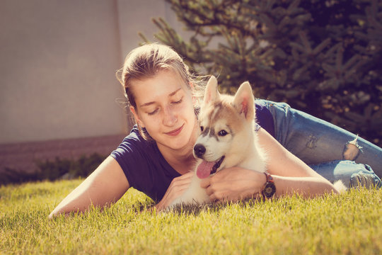 Young girl playing with a dog. Puppy Siberian Husky.Beautiful woman with husky outdoors.Woman with smiling siberian husky dog, sitting on a sunny day, on a walk with dog.