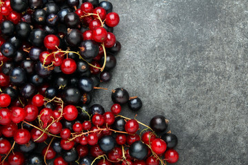 Red and black currants on a dark background