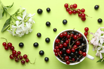 Red and black currants in cup on green background