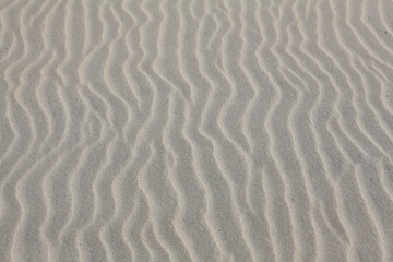 Fototapeta na wymiar sand texture for background from Baltic sea.