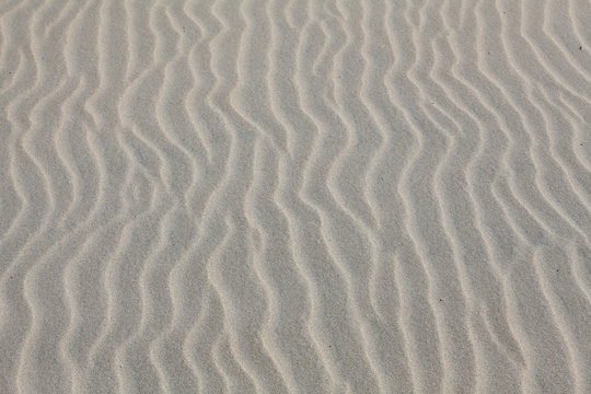 sand texture for background from Baltic sea.