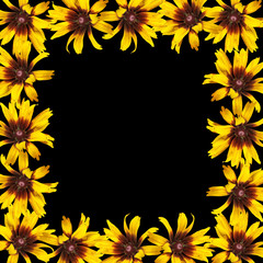 Delicate floral background of flowers yellow rudbeckia 