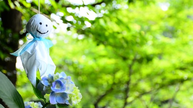 てるてる坊主と紫陽花