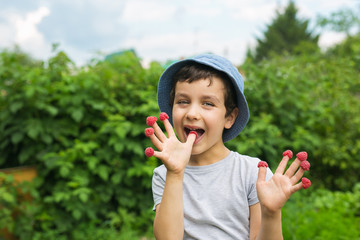 Cute little boy eats a berries from his fingers and smiles © kristinakibler