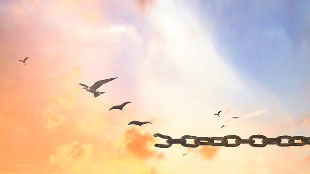 International day for the remembrance of the slave trade and its abolition concept: Silhouette of bird flying and broken chains at autumn sunset background