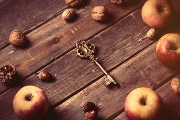 apples, key, fir-cones and nuts
