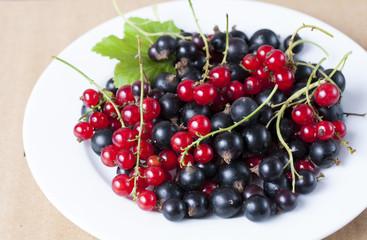 Berries on a white plate. Two kinds of blackcurrant. Red currant