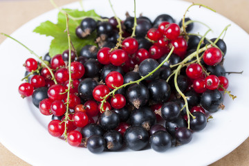 Berries on a white plate. Two kinds of blackcurrant. Red currant