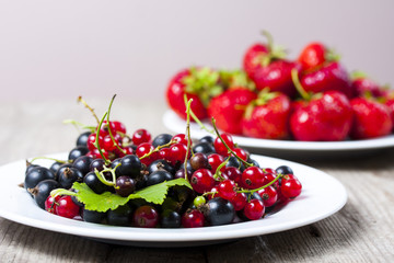 Plates with fresh picked strawberries and black and red currants