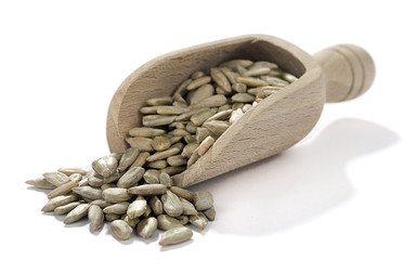 Shovel of Sunflower Seed Isolated