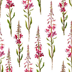 seamless pattern with watercolor drawing flowers of willow herbs