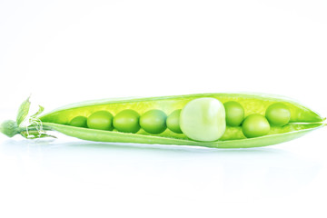 Opened pod full of peas