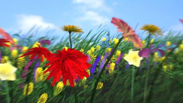Dance of flowers - HD, loopable
animation background with flowers