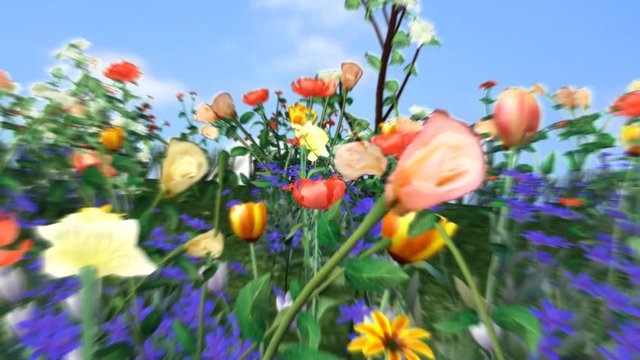 Dance of flowers - HD, loopable
animation background with flowers
