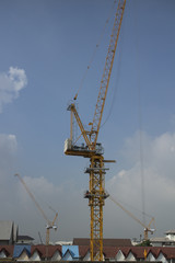 Yellow cranes in construction site