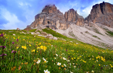 Escursionismo alpino sulle dolomiti della val di fassa nei prati fioriti di montagna