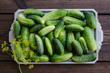 Cucumbers in a tray on a wooden background.