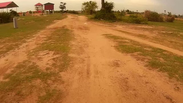 Action cam POV perspective riding down a small trail in a field in Southeast Asia, passing waterbuffalo and palm trees. (*Vehicle is not seen, and could stand in for a mountain bike, motorcycle
