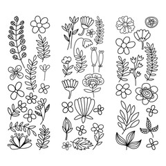 Vector pattern with flowers Garden Birhday Wedding Postcard