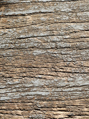 crack on old wood texture