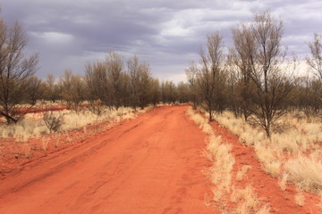 Fototapeta premium Red dirty road on remote place on Australian desert. Around bush plants. Overcast sky contrasts with the red bright color of the road.