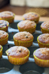 Healthy Paleo Vegan Gluten-free Banana Muffins with Berries and Honey on a Baking Tray, Delicious, Close-up View